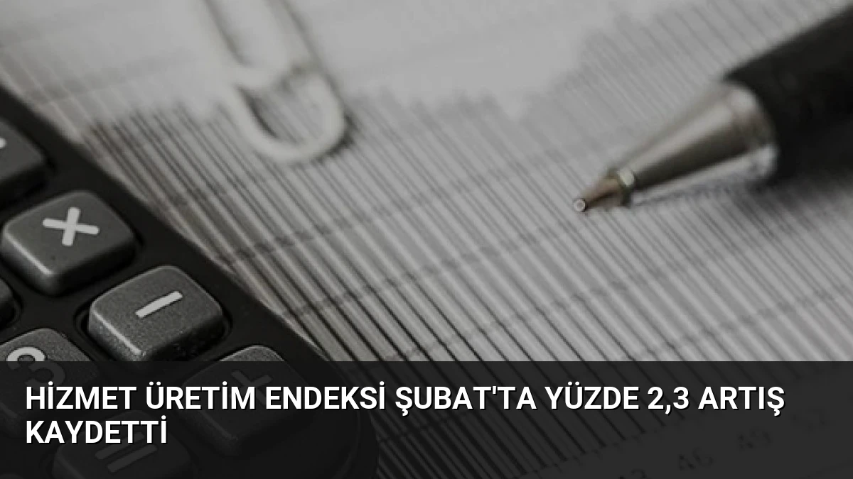 Hizmet Üretim Endeksi Şubat’ta Yüzde 2,3 Artış Kaydetti