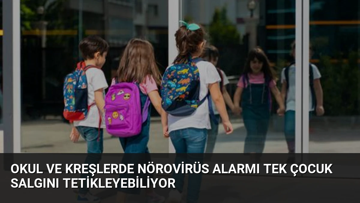Okul Ve Kreşlerde Nörovirüs Alarmı Tek Çocuk Salgını Tetikleyebiliyor