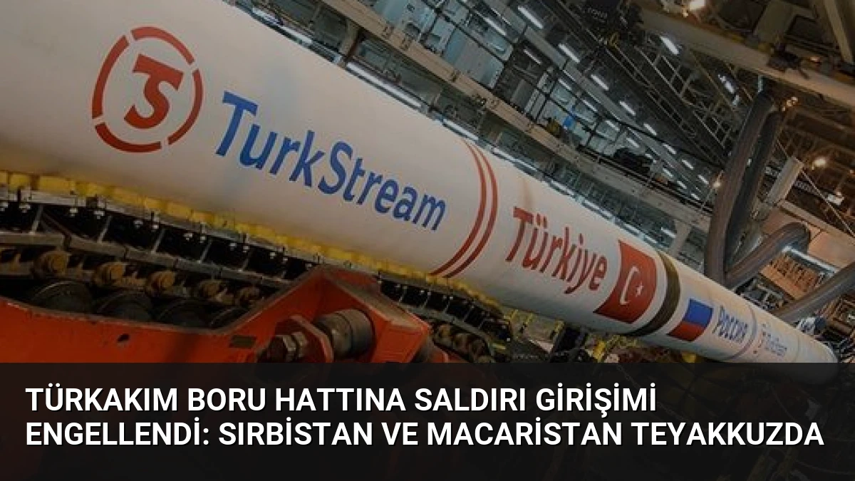 TürkAkım Boru Hattına Saldırı Girişimi Engellendi: Sırbistan ve Macaristan Teyakkuzda