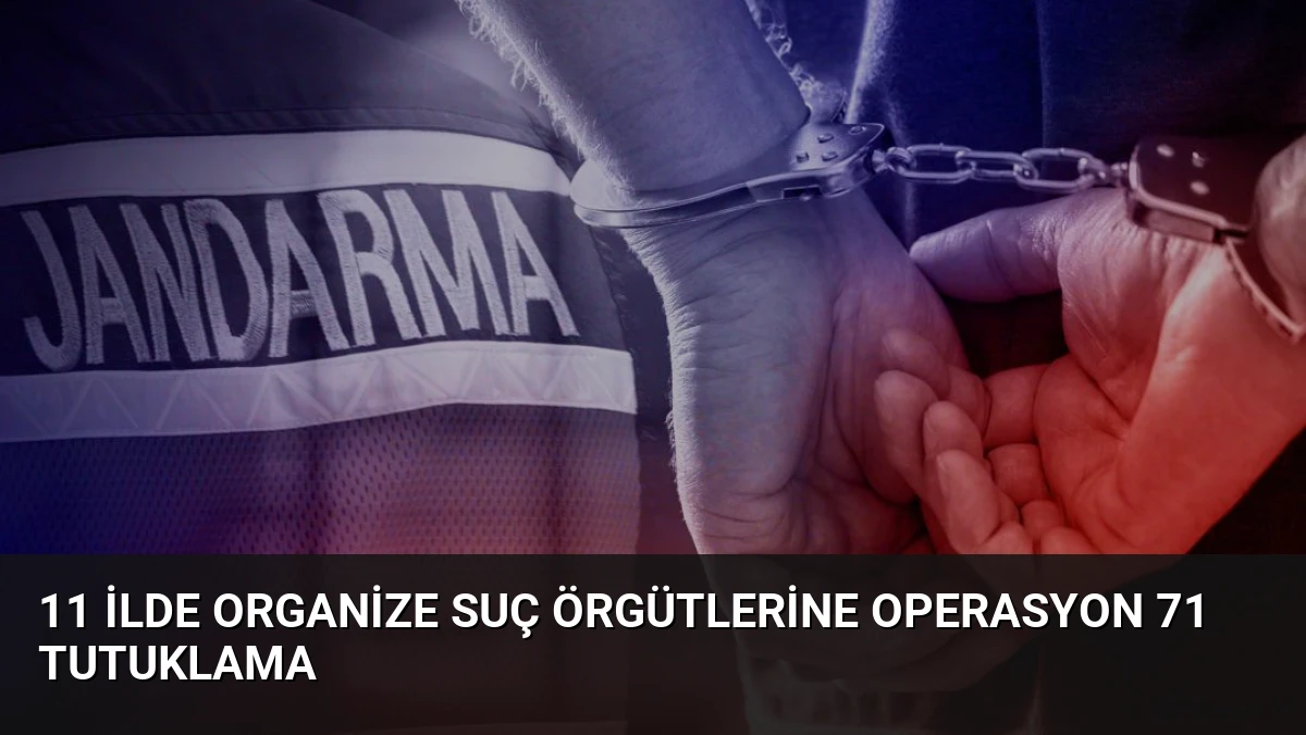 11 İlde Organize Suç Örgütlerine Operasyon 71 Tutuklama