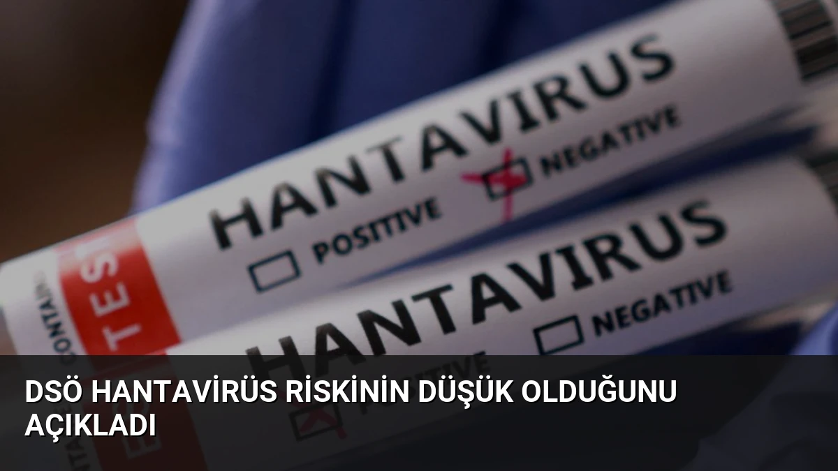 DSÖ Hantavirüs Riskinin Düşük Olduğunu Açıkladı