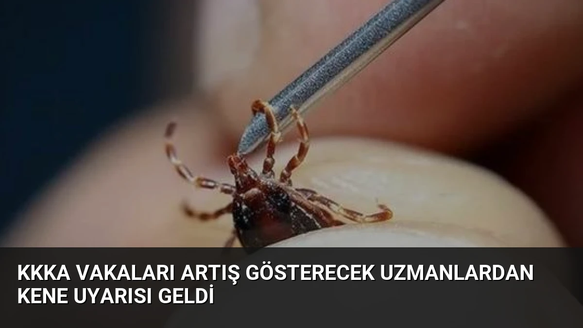 KKKA Vakaları Artış Gösterecek Uzmanlardan Kene Uyarısı Geldi
