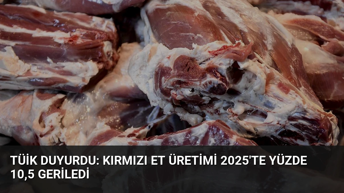 TÜİK Duyurdu: Kırmızı Et Üretimi 2025’te Yüzde 10,5 Geriledi