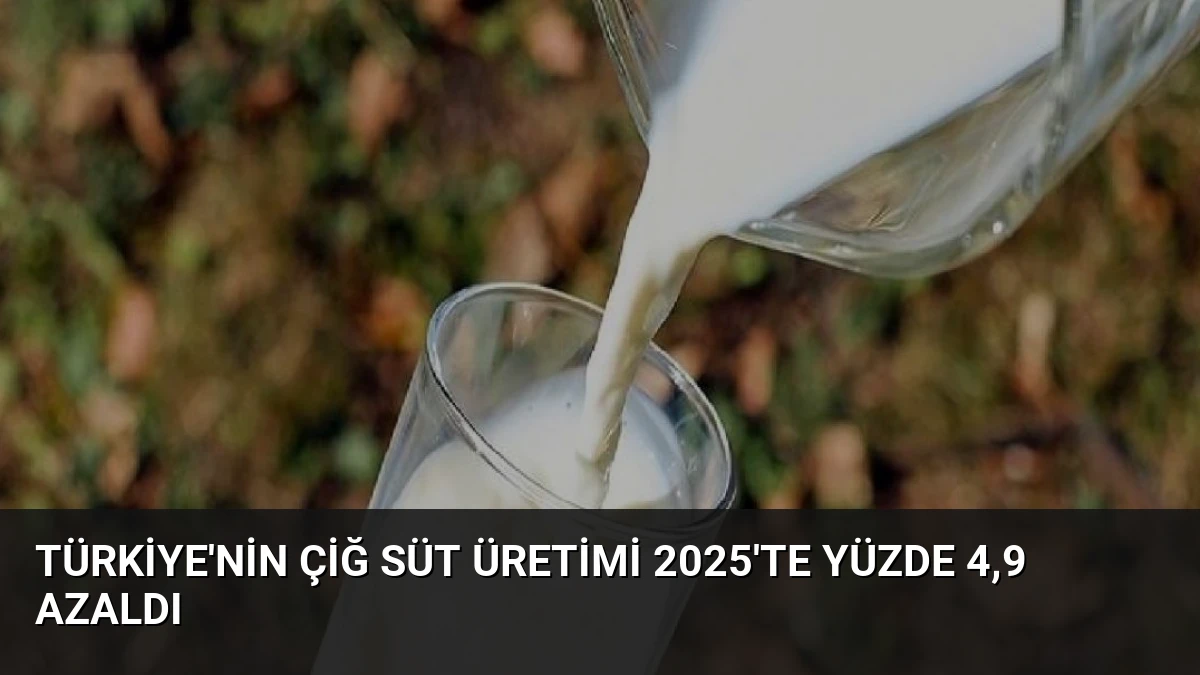 Türkiye’nin Çiğ Süt Üretimi 2025’te Yüzde 4,9 Azaldı