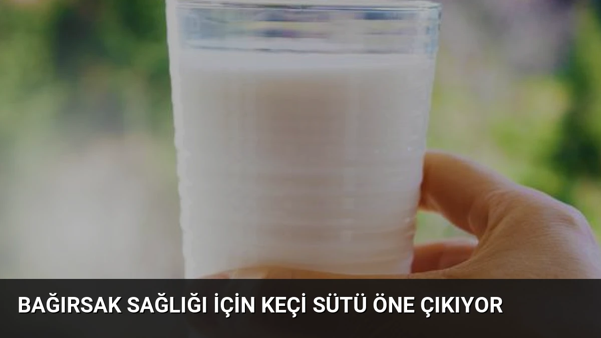 Bağırsak Sağlığı İçin Keçi Sütü Öne Çıkıyor