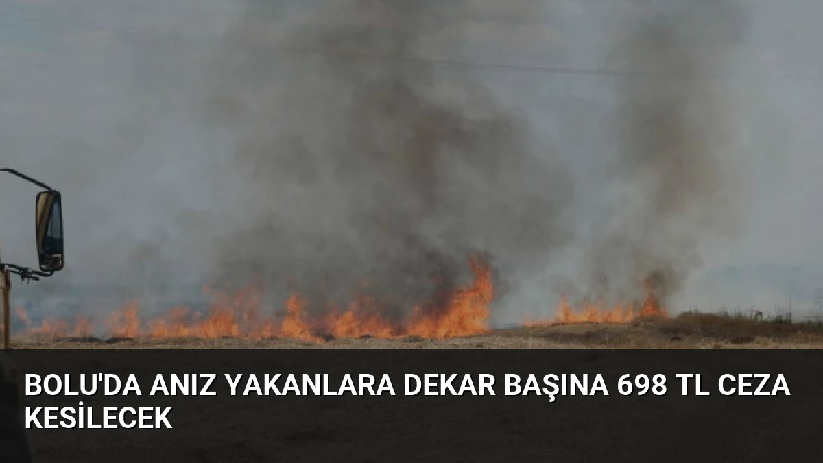 Bolu’da Anız Yakanlara Dekar Başına 698 TL Ceza Kesilecek