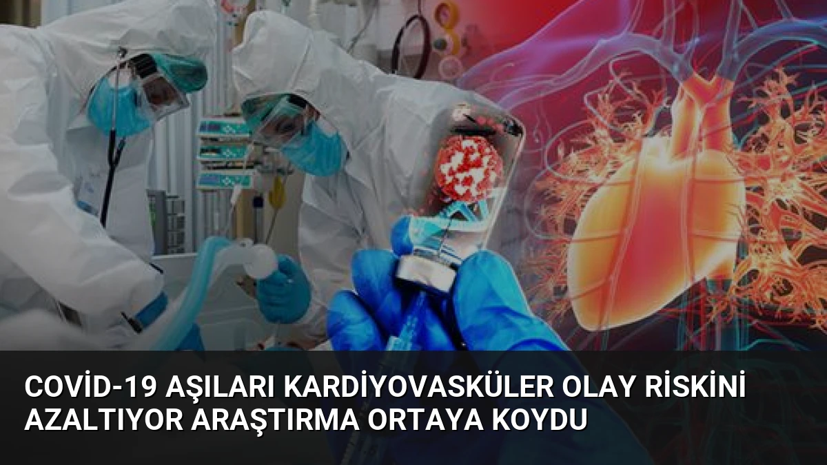 Covid-19 Aşıları Kardiyovasküler Olay Riskini Azaltıyor Araştırma Ortaya Koydu