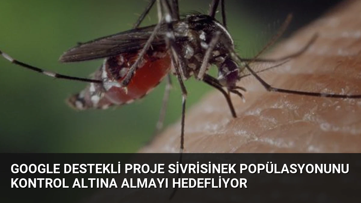Google Destekli Proje Sivrisinek Popülasyonunu Kontrol Altına Almayı Hedefliyor