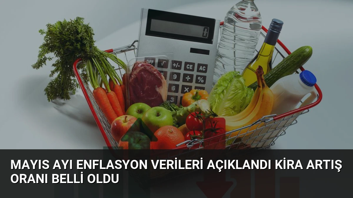 Mayıs Ayı Enflasyon Verileri Açıklandı Kira Artış Oranı Belli Oldu