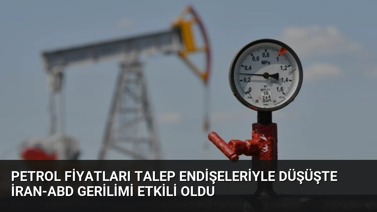 Petrol Fiyatları Talep Endişeleriyle Düşüşte İran-ABD Gerilimi Etkili Oldu