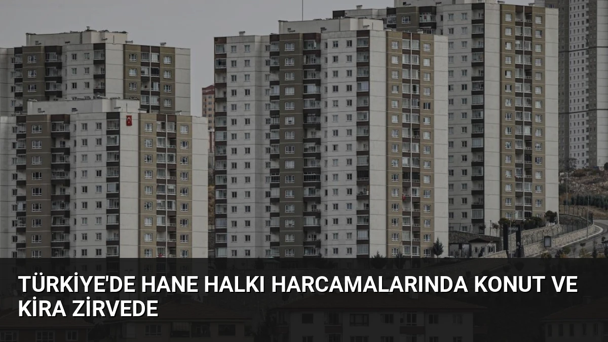 Türkiye’de Hane Halkı Harcamalarında Konut ve Kira Zirvede
