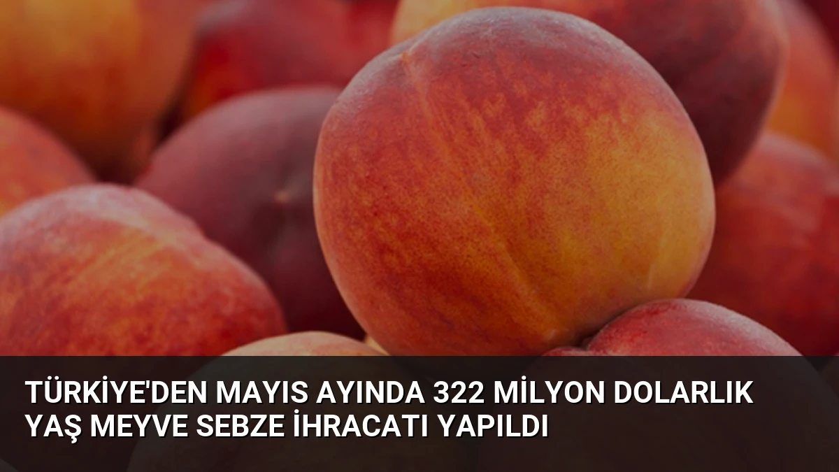 Türkiye’den Mayıs Ayında 322 Milyon Dolarlık Yaş Meyve Sebze İhracatı Yapıldı