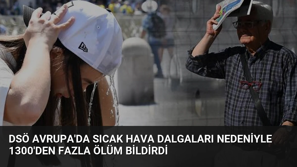 DSÖ Avrupa’da Sıcak Hava Dalgaları Nedeniyle 1300’den Fazla Ölüm Bildirdi