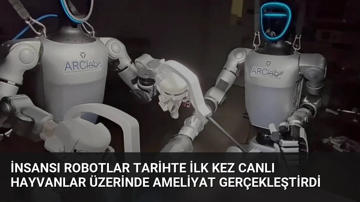 İnsansı Robotlar Tarihte İlk Kez Canlı Hayvanlar Üzerinde Ameliyat Gerçekleştirdi