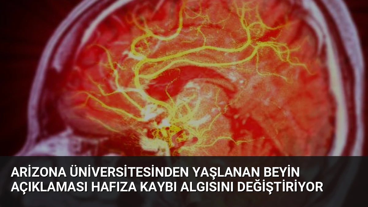 Arizona Üniversitesinden Yaşlanan Beyin Açıklaması Hafıza Kaybı Algısını Değiştiriyor