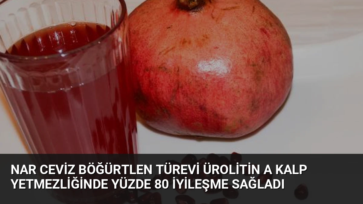 Nar Ceviz Böğürtlen Türevi Ürolitin A Kalp Yetmezliğinde Yüzde 80 İyileşme Sağladı