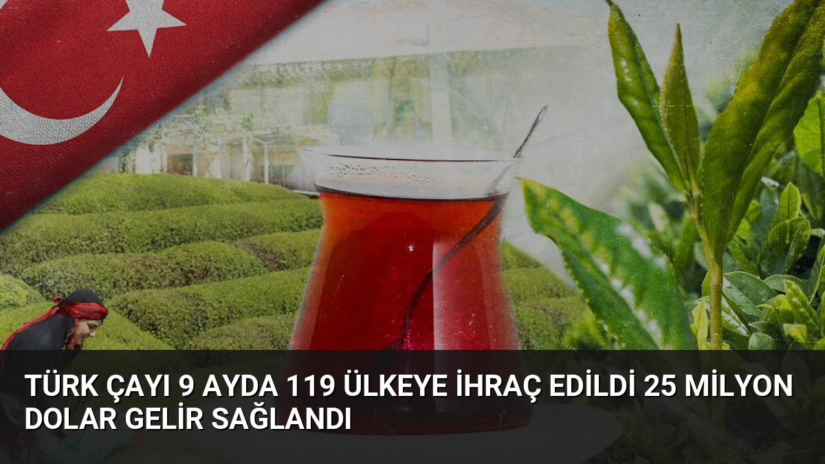Türk Çayı 9 Ayda 119 Ülkeye İhraç Edildi 25 Milyon Dolar Gelir Sağlandı