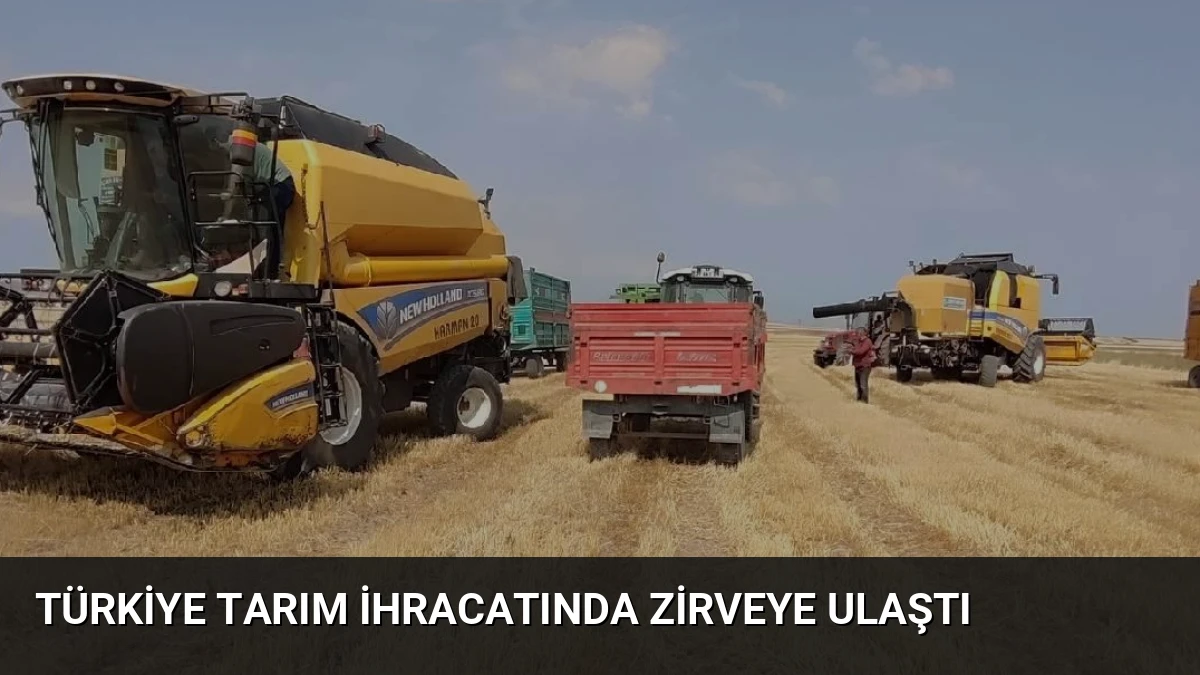 Türkiye Tarım İhracatında Zirveye Ulaştı
